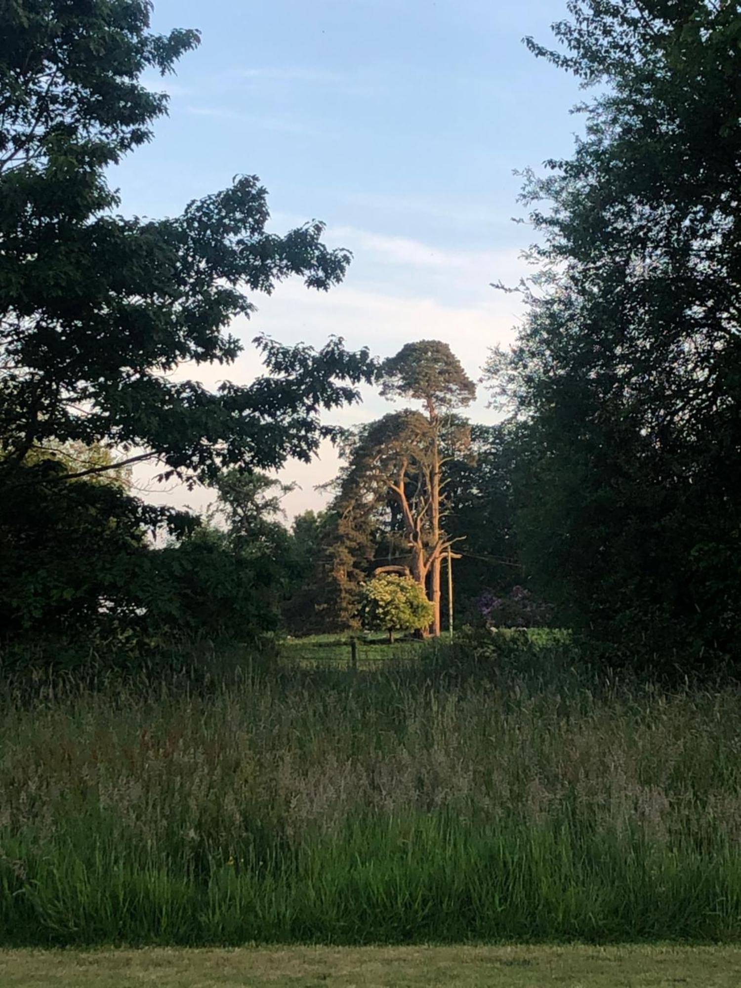 O'Harabrook Country House Ballymoney Zewnętrze zdjęcie